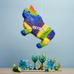 Brilliant boozy gift piñatas