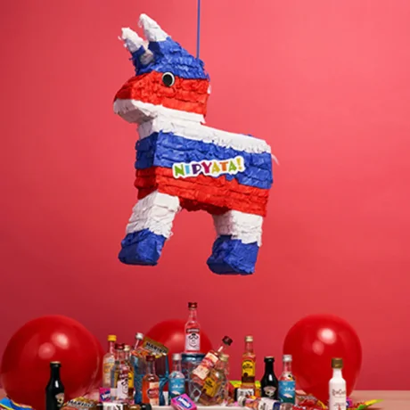 NipYata Freedom Donkey Piñata